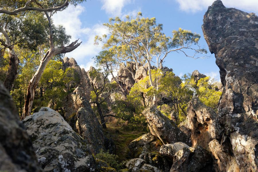 Volcanic Rocks, Award-Winning Pies and Must-See Art: Evi O’s Guide to a Hanging Rock Road Trip
